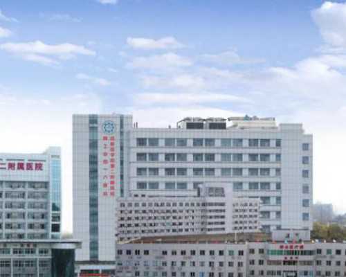 武汉代孕网排行榜,武汉同济试管费用(武汉做试管大概费用)