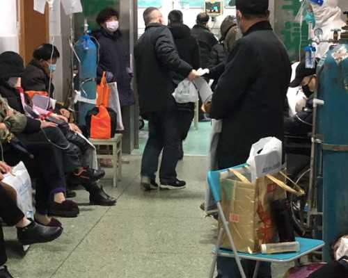 供卵费用，美国供卵试管多少钱，2026美国试管费用明细