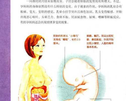武汉同济医院可以做供卵三代试管婴儿吗？要等多久？